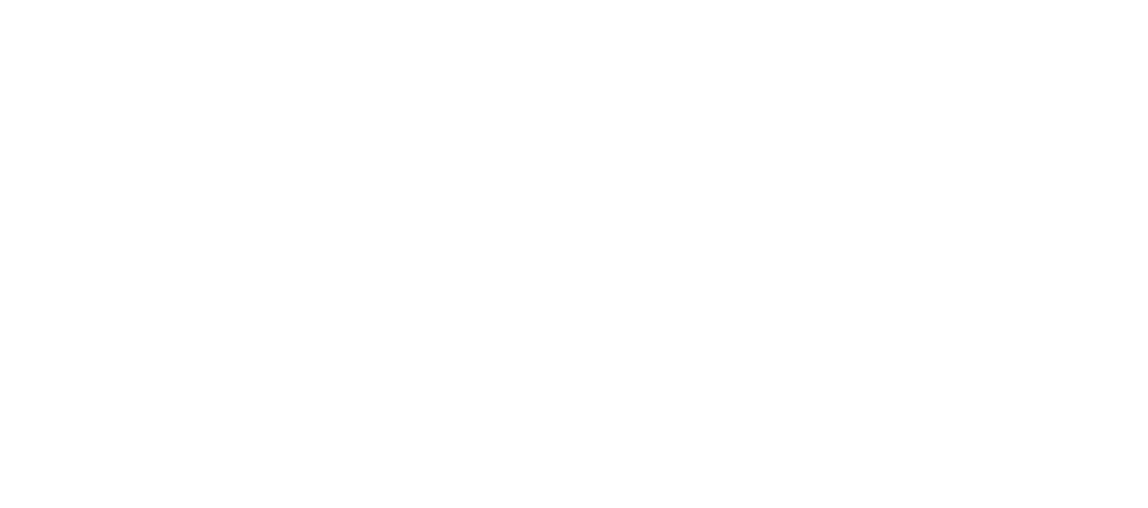 Logo Annamore blanc